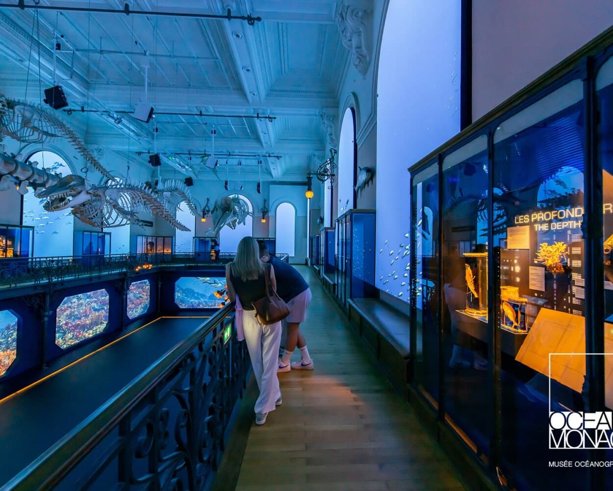 Une visiteuse devant les vitrines d’une galerie du Musée océanographique, sous des squelettes suspendus