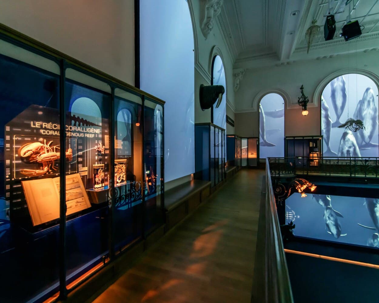 Une galerie du Musée océanographique bordée de vitrines éclairées