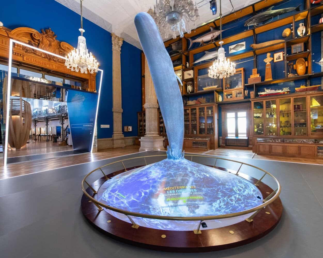Une sculpture bleue plonge dans un bassin lumineux, au milieu d’une salle aux boiseries du Musée océanographique